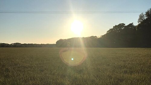 green belt