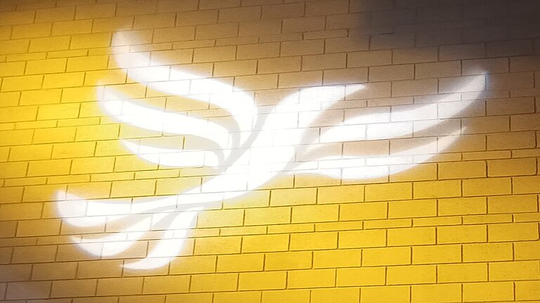 Save free swimming banner