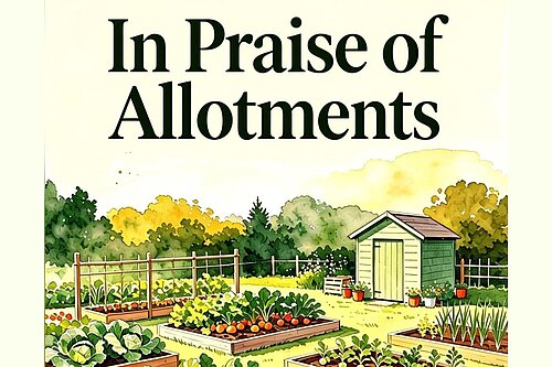 Stuart Bourne's public talk on allotments
